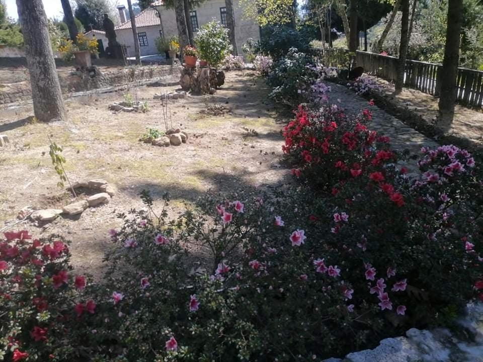 Quinta Da Cartida Villa Santa Marinha do Zezere Luaran gambar