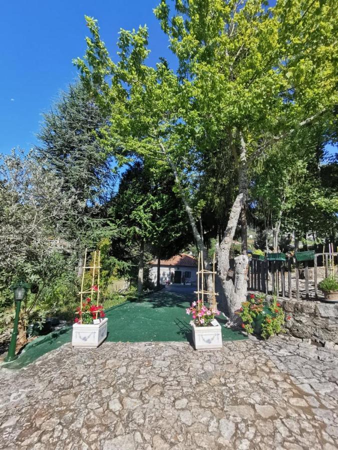 Quinta Da Cartida Villa Santa Marinha do Zezere Luaran gambar