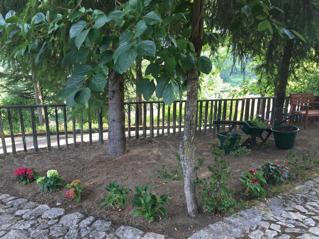 Quinta Da Cartida Villa Santa Marinha do Zezere Luaran gambar